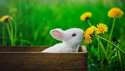 九游官网下载电脑版-英格兰守门员扑点建奇功，英格兰守门员2021